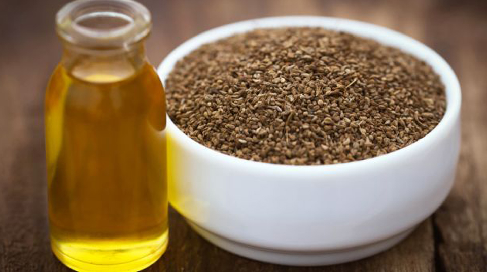 Ajowan Oil